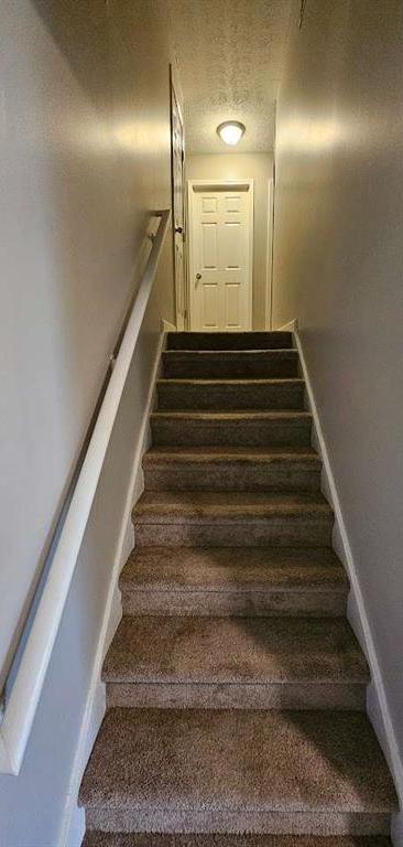 Photo #14