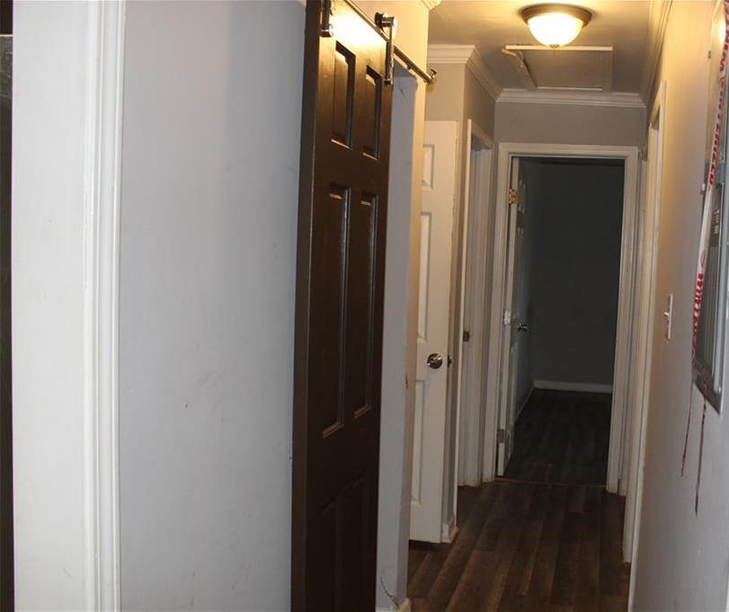 Photo #11
