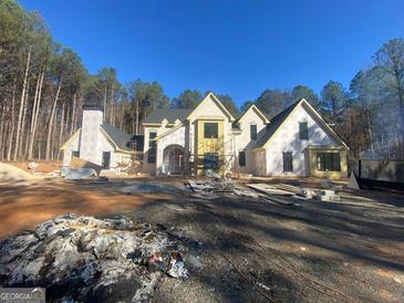 New construction home exterior, featuring a brick facade and large windows at 1315 Sandy Creek Rd, Tyrone, GA 30290