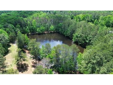 Aerial view of a pond surrounded by lush trees at 2576 E Paulding Dr, Dallas, GA 30157