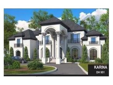 Luxury home with grand entrance and columns at 1815 Trinidad, Stockbridge, GA 30281