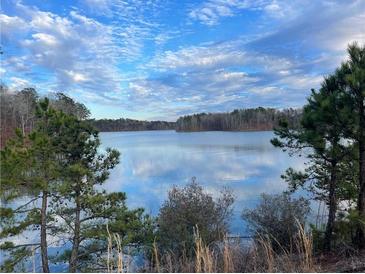 Serene lake view with lush greenery at 205 Lakeside Pl, Canton, GA 30114