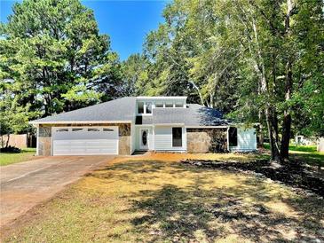 Photo one of 163 Olde Hampton Way Hampton GA 30228 | MLS 7437084