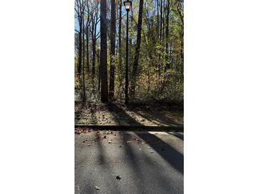 Wooded lot with mature trees and a paved road at Lot 15 Fairview Springs Dr, Ellenwood, GA 30284