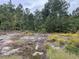 Natural lot with exposed rock and yellow wildflowers, peaceful setting at 5297 Rock Springs Rd, Lithonia, GA 30038