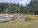 Partially wooded lot with exposed rock and yellow wildflowers at 5297 Rock Springs Rd, Lithonia, GA 30038