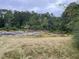 Natural lot with exposed rock and wildflowers, offering a unique setting at 5297 Rock Springs Rd, Lithonia, GA 30038