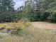 Wooded lot with yellow wildflowers along the edge, build your home at 5297 Rock Springs Rd, Lithonia, GA 30038