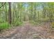 Long driveway leading through a wooded area at 2421 Bethel Ne Rd, Conyers, GA 30012
