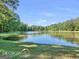 Scenic view of a pond with lush greenery at 3655 Highway 81 W, Hampton, GA 30228