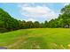 Expansive grassy lot with a tree line in the background at 1042 Harbins Rd, Dacula, GA 30019