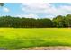 Open grassy area with a tree line in the background at 1042 Harbins Rd, Dacula, GA 30019