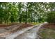 Dirt road leading through a wooded area at 1042 Harbins Rd, Dacula, GA 30019