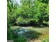 Peaceful creek running through wooded area at 104 Montgomery Dr, Stockbridge, GA 30281