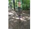 Disc golf course in wooded area with basket at 104 Montgomery Dr, Stockbridge, GA 30281