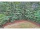 Wooded backyard with a gently sloping lawn and mature trees providing shade and privacy at 1055 Church St, Smyrna, GA 30080