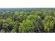 Aerial view of a lush, wooded property at 1072 Harbins Rd, Dacula, GA 30019