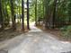 Long driveway leading through a wooded area to a home at 1145 Lake Stone Lea Dr, Oxford, GA 30054