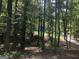 Wooded lot with a pond and a home partially visible at 1145 Lake Stone Lea Dr, Oxford, GA 30054