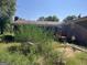 Home's backyard with overgrown vegetation and a wooden deck at 175 Moss Dr, Mcdonough, GA 30252