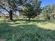 Large overgrown backyard with mature trees at 175 Moss Dr, Mcdonough, GA 30252