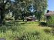 Large backyard with shed and overgrown vegetation at 175 Moss Dr, Mcdonough, GA 30252