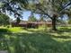 Overgrown backyard with a brick house and trees at 175 Moss Dr, Mcdonough, GA 30252