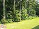 Wooded backyard with lush green grass and trees at 7505 Hall Rd, Fairburn, GA 30213