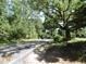 Quiet road with mature trees lining the street at 573 Lester Rd, Fayetteville, GA 30215