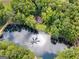 Aerial view of house and pond with lush trees at 3110 Highway 20 W, Hampton, GA 30228
