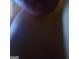 Image is unfocused and unclear at 2103 Grove Way, Hampton, GA 30228