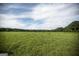 Large grassy field with trees in the background at 1530 Highway 11, Mansfield, GA 30055