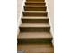 Carpeted stairs leading to the basement at 228 Prominent Loop, Mcdonough, GA 30253