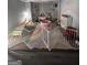 Play area in basement with ball pit and toys at 938 Mulberry Fields Cv, Auburn, GA 30011