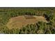 High-angle view of land with several clearings, perfect for development at 230 Haynes Rd, Moreland, GA 30259