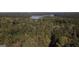Aerial view of a lakefront property with lush greenery at 5335 Saville Dr, Acworth, GA 30101