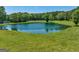 Serene pond surrounded by lush greenery and trees at 655 Mcdonough Rd, Hampton, GA 30228