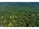 Aerial view of lush forest and houses at 655 Mcdonough Rd, Hampton, GA 30228