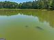 Aerial view of tranquil lake at 655 Mcdonough Rd, Hampton, GA 30228