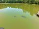 Aerial photo of calm lake with dock at 655 Mcdonough Rd, Hampton, GA 30228