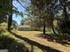 Large backyard with mature trees at 2164 Rockhaven Cir, Decatur, GA 30032