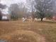 Large backyard with grassy area and playset at 1402 Aramore Se Dr, Conyers, GA 30013