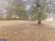 Large backyard with grassy area and playset at 1402 Aramore Se Dr, Conyers, GA 30013