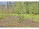 Landscaped backyard with a variety of flowering plants at 684 Brooks Woolsey Rd, Brooks, GA 30205