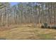 Private backyard with mature trees and grassy area at 684 Brooks Woolsey Rd, Brooks, GA 30205