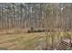 Wooded backyard with grassy area and steps leading to deck at 684 Brooks Woolsey Rd, Brooks, GA 30205