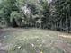Private backyard with lush greenery and bamboo trees at 2425 Hanford Sw Dr, Atlanta, GA 30315