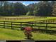 Property features a riding arena and well-maintained paddocks at 7866 Hwy 54, Sharpsburg, GA 30277