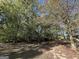Large backyard with mature trees at 3617 Collins Dr, Douglasville, GA 30135