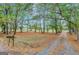 Driveway lined with trees leading to a home at 115 Bernhard Rd, Fayetteville, GA 30215